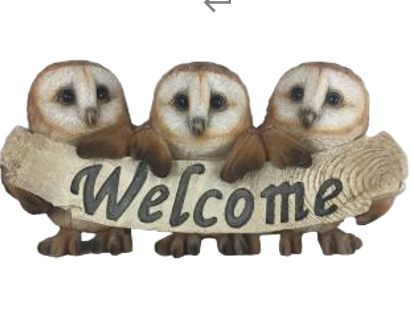Owl Product