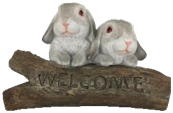 Rabbit Product