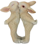 Rabbit Product