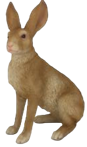 Rabbit Product