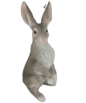 Rabbit Product