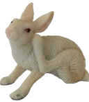 Rabbit Product