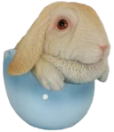 Rabbit Product