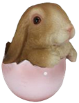 Rabbit Product