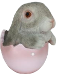Rabbit Product