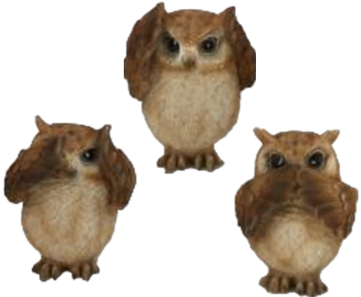 Owl Product