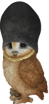 Owl Product