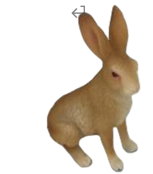 Rabbit Product