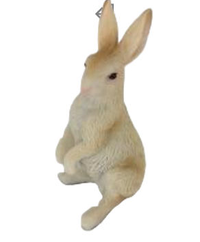 Rabbit Product