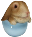 Rabbit Product