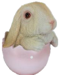 Rabbit Product