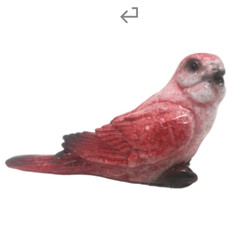 Bird Product