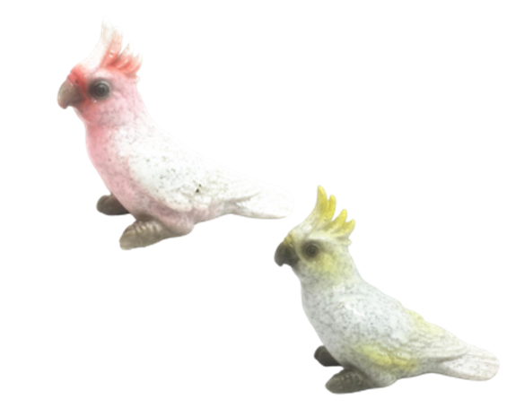 Bird Product