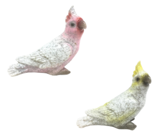 Bird Product