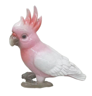 Bird Product