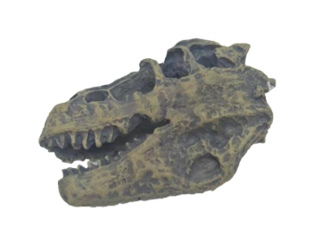 Dinosaur Product