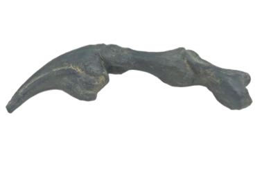 Dinosaur Product