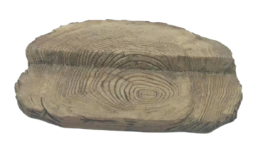 Dinosaur Product