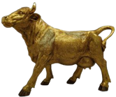 Cattle Product