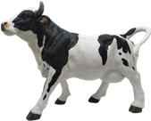 Cattle Product
