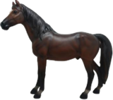 Horse Product