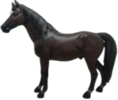 Horse Product