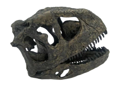 Dinosaur Product