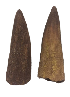Dinosaur Product