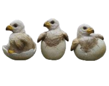 Bird Product