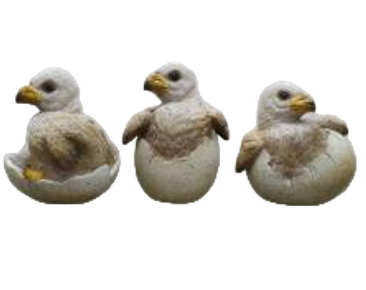 Bird Product