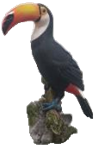 Bird Product
