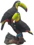 Bird Product