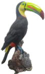 Bird Product