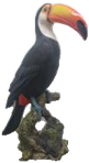 Bird Product