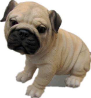 Dog Product