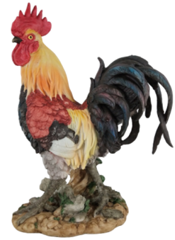 Chicken Product