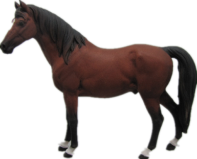Horse Product